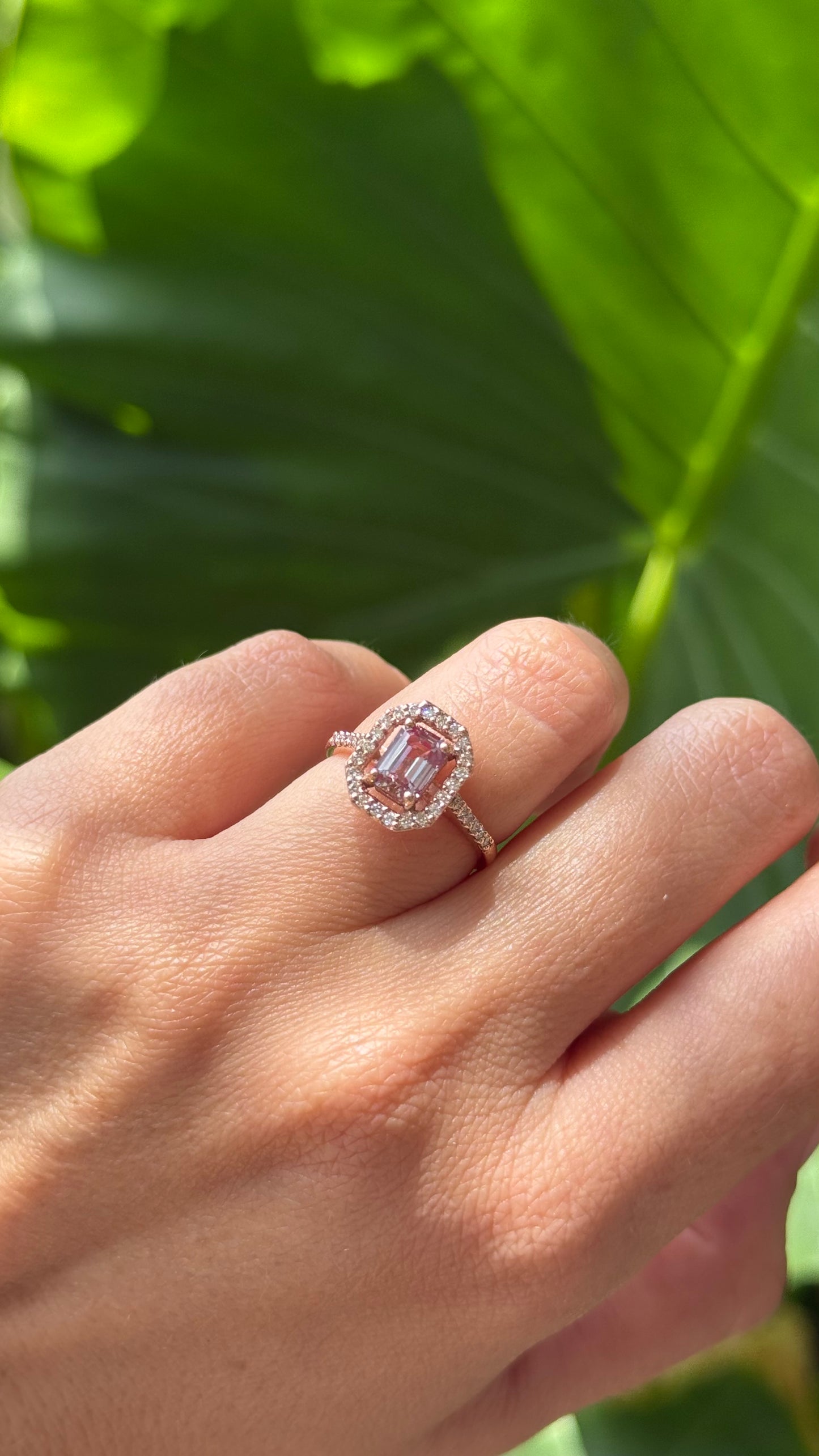 Anillo Alexandra